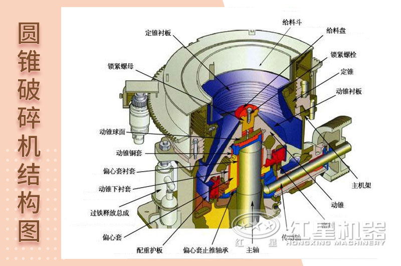 內部結構